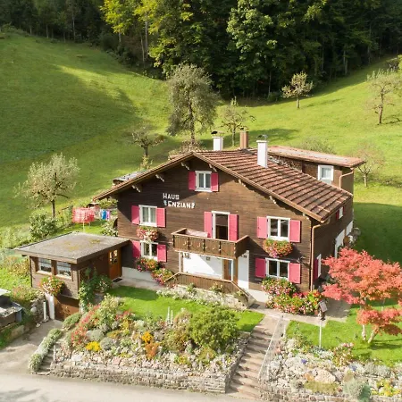 Haus Enzian I Apartment