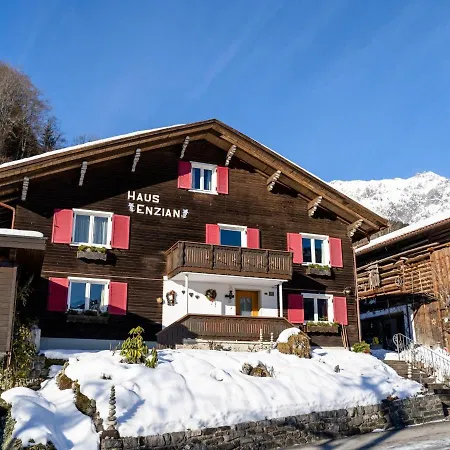 Haus Enzian I * Vandans