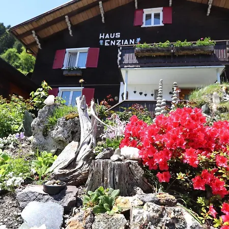 Haus Enzian I Apartment *